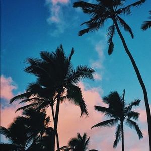 Meet your Posher, Vanesa